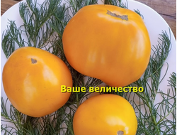 Томат Ваше величество