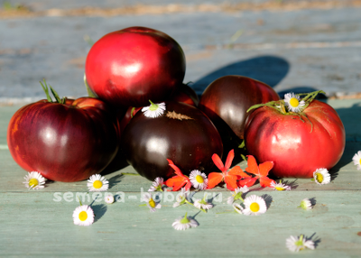 Томат Аметистовое сердце, 10 шт.