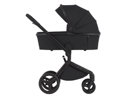 Коляска 2в1 Anex Flo (fl-05c) Lungo