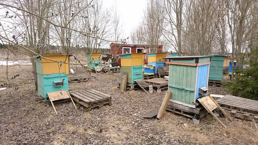 Размеры стенок ульев 0,7 х 0,7 метра