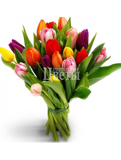 Тюльпаны 8 МАРТА