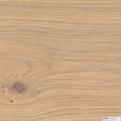 Декор паркетной доски Haro Дуб Пуро Белый Маркант браш 1-пол, лак 538960 структура