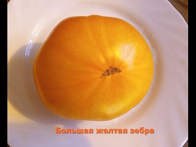 Томат Большая желтая зебра (Big Yellow Zebra)