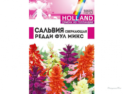 Сальвия Редди Фулл микс сверкающая/Сем Алт/цп 5 шт. ГОЛЛАНДИЯ
