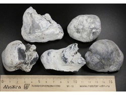 Кахолонг (Опал), желвак цельный в ассортименте, Оренбургская обл. (50-60 мм, 73-88 г) №29437