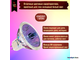 BLV WhiteStar EXT 6500K 50w 12v 12° GU5.3