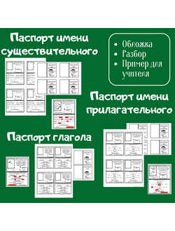 Морфологический разбор (3 паспорта)