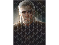 Пазл Witcher, Ведьмак №10