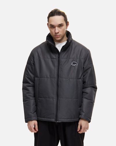 Куртка Anteater Downlight Grey