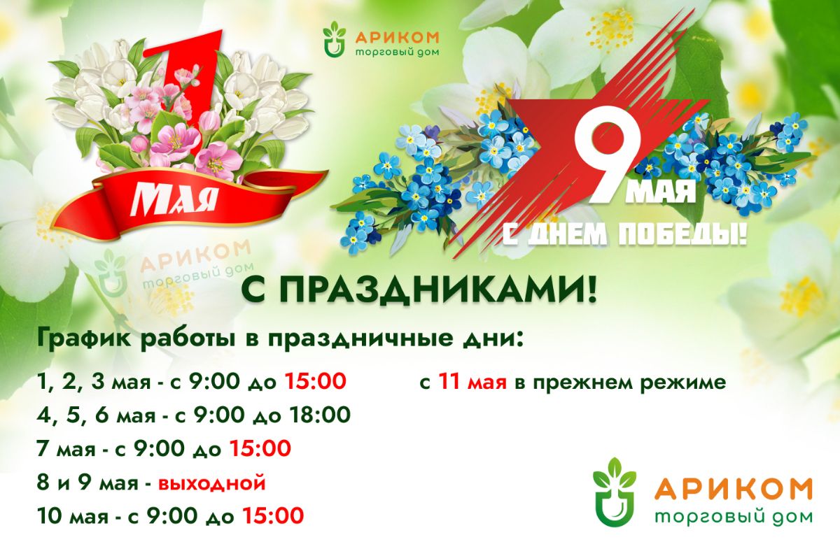 Кари график магазина. Ашан режим работы 1 января. Black friday зенден. Режим работы. Сотрудники кари магазин.