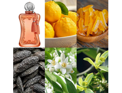 Parfums de Marly Athenais