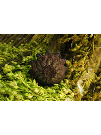 &quot;Лесной всполох&quot;, кольцо-цветок из Зачарованного леса