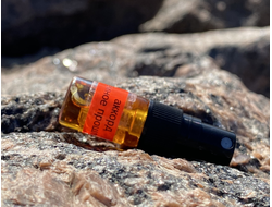 Духи АККОРД: ТЁМНОЕ ПРОШЛОЕ 2,5 мл