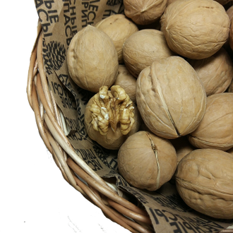 Грецкий орех в скорлупе 500г