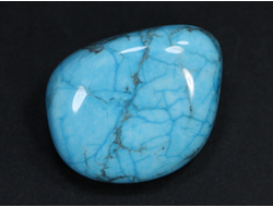 Говлит тонированный, галтовка, Зимбабве (31*25*17 мм, 21 г) №21451