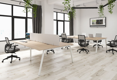 Кабинет эконом Arena