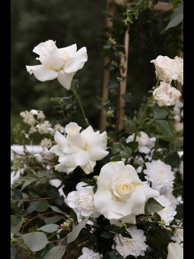 Арка для выездной церемонии "Романтика"