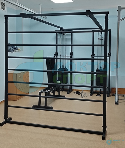 "Биотонус-2" 75/100 кг со шведской стенкой