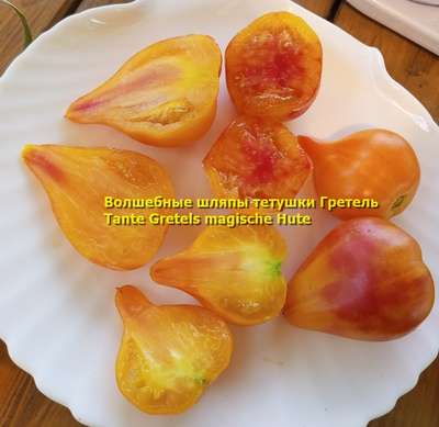 Томат Волшебные шляпы тетушки Гретель (Tante Gretels magische Hute)