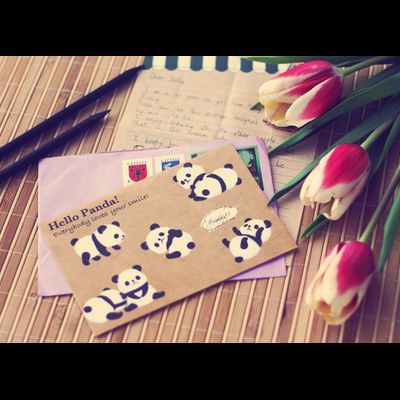D0432 Hello Panda!