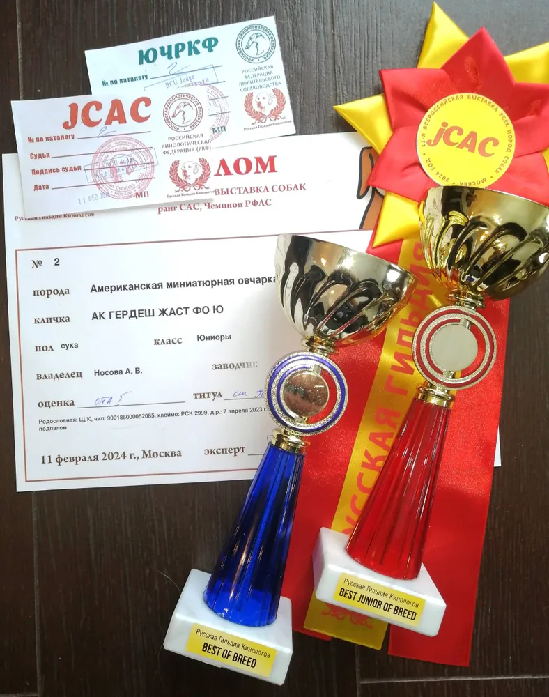 Умничка Юта