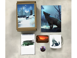 Бокс The Long Dark, Лонг Дарк №9