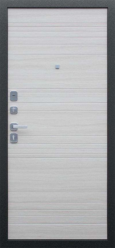 Стальная дверь   Next 1