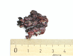 Медь самородная, коллекционный образец, Казахстан (25*25*7 мм, вес: 6,9 г) №21938