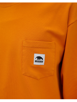 Лонгслив Anteater Phat 097 Оранжевый