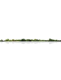 горизонт Деревья на горизонте ALT019-12-D