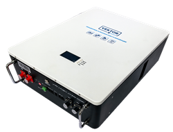 Аккумулятор литиевый LFP 51,2-100W  (BMS 100A)