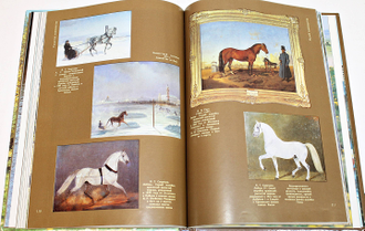Камбегов Б. Коневодство и коннозаводство России. М.: Росагропромиздат. 1988г.