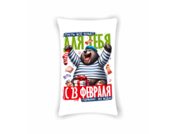 Подушка вертикальная #45 на 23 февраля