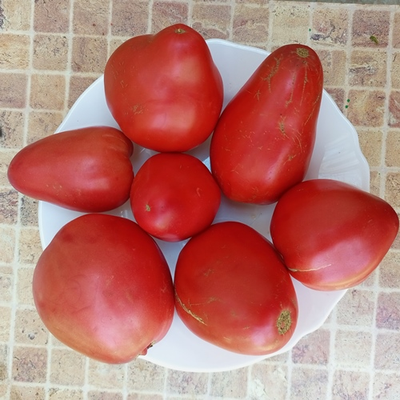 Томат Сердце Луиджи (Cuore di bue Luigi) Италия