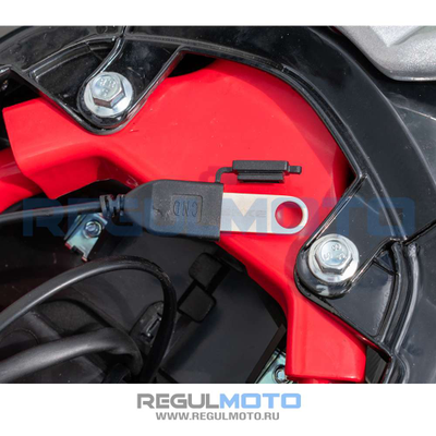 Regulmoto Raptor new