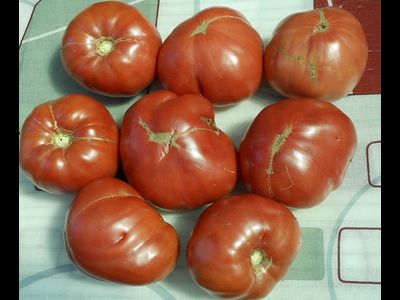 Томат Хелен немецкий (Helen's German)