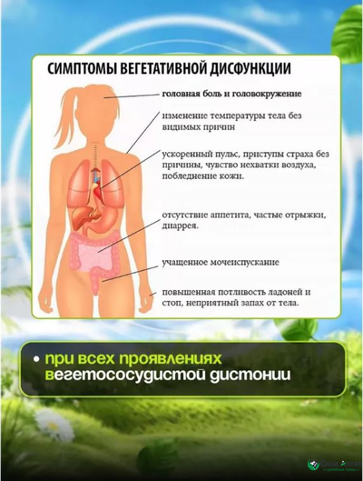 Церебромакс,  для повышения умственной активности, памяти и концентрации