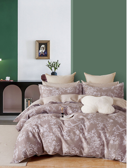 Постельное белье TANGO Twill сатин 2 спальное 180x210x1 220x245x1 50x70x2 TPIG2-1942-50