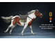 Монгольский конь (Лошадь) в динамичной позе - Коллекционная ФИГУРКА 1/6 scale animal model No.33:Mongolica (dynamic posture) (Mr.Z033-MD001) - Mr.Z