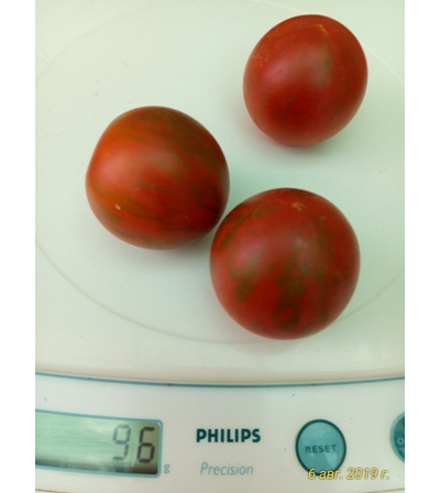 Томат Фиолетовая яшма (Цзы-Ю, Tci U, Китай)