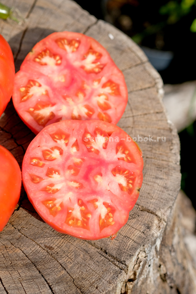 Томат Ивунтянский Великан, 10 шт