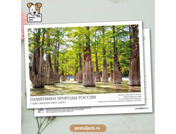 Почтовая открытка для посткроссинга: Памятники природы России. Сукко. Кипарисовое озеро