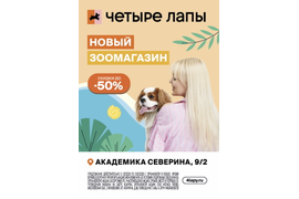 Четыре лапы