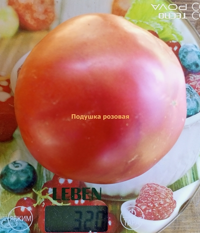Томат Подушка розовая