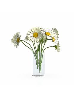 букеты Букет 12345