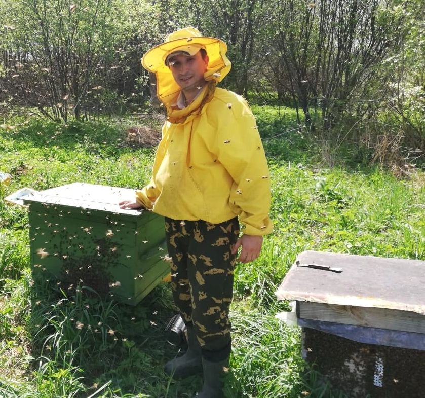 Наши пчелы на пасеке Костромской области