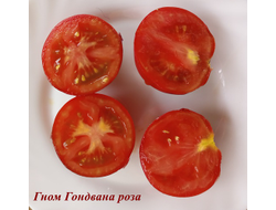 Томат Гондвана роза (Dwarf Gondwana Rose)