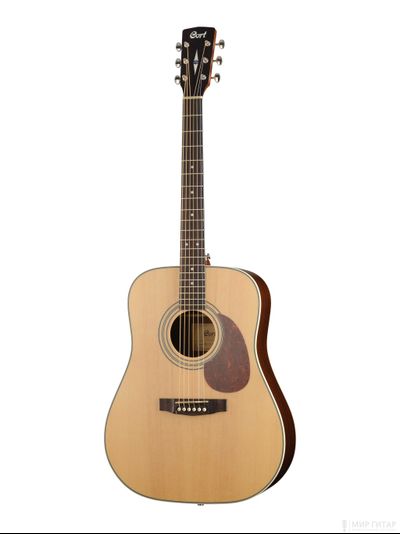 Cort EARTH80-NS