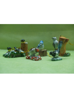 Сорока - Птицы России