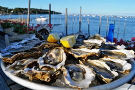 Экскурсия из Дубровника на устричные плантации в город Стон и посещение ботанического сада Трстено, где проходили съёмки фильма &quot;Игра Престолов&quot;.Транспорт- комфортабельный автомобиль.(1-4 чел.)